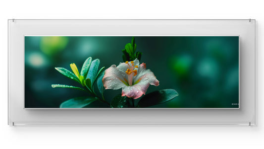 Flower Garden Wall Art