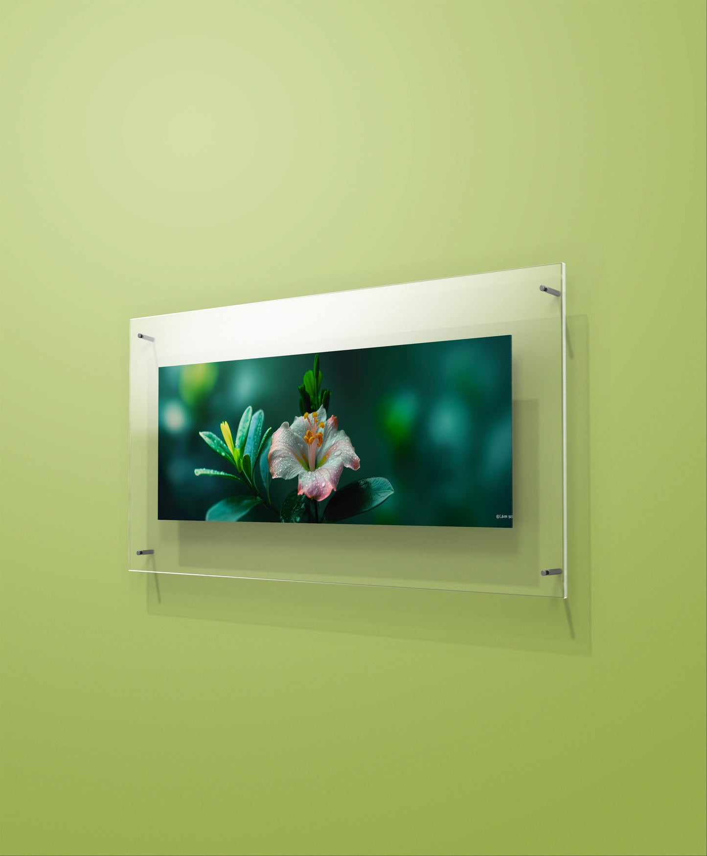 Flower Garden Wall Art