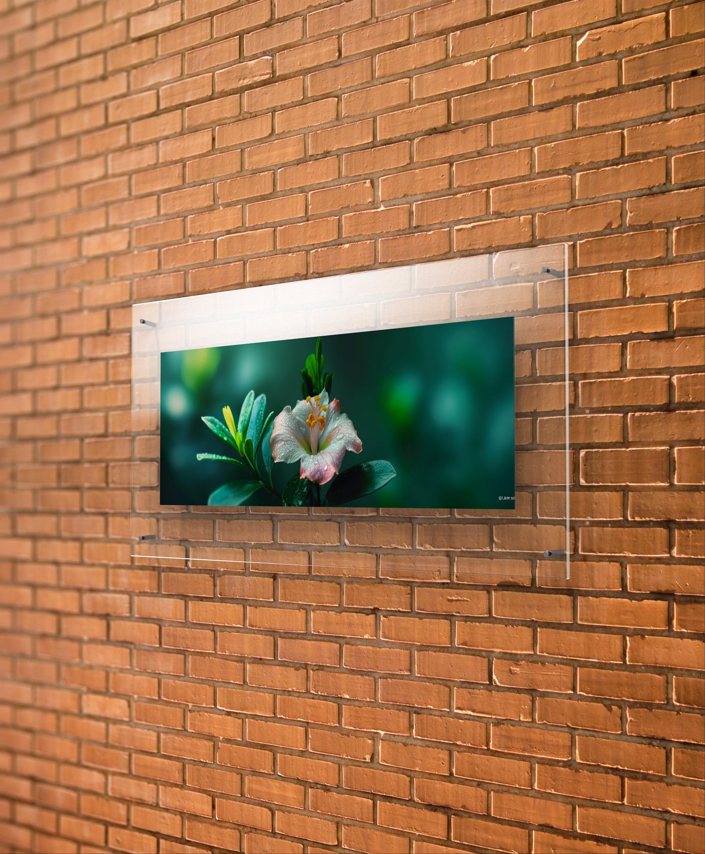 Flower Garden Wall Art