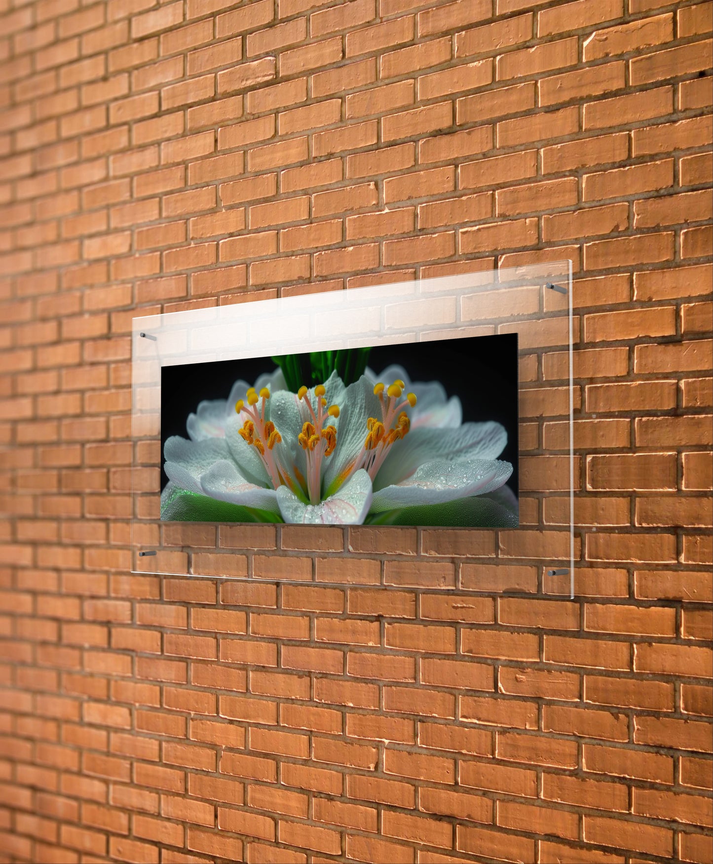 Flower Garden Wall Art