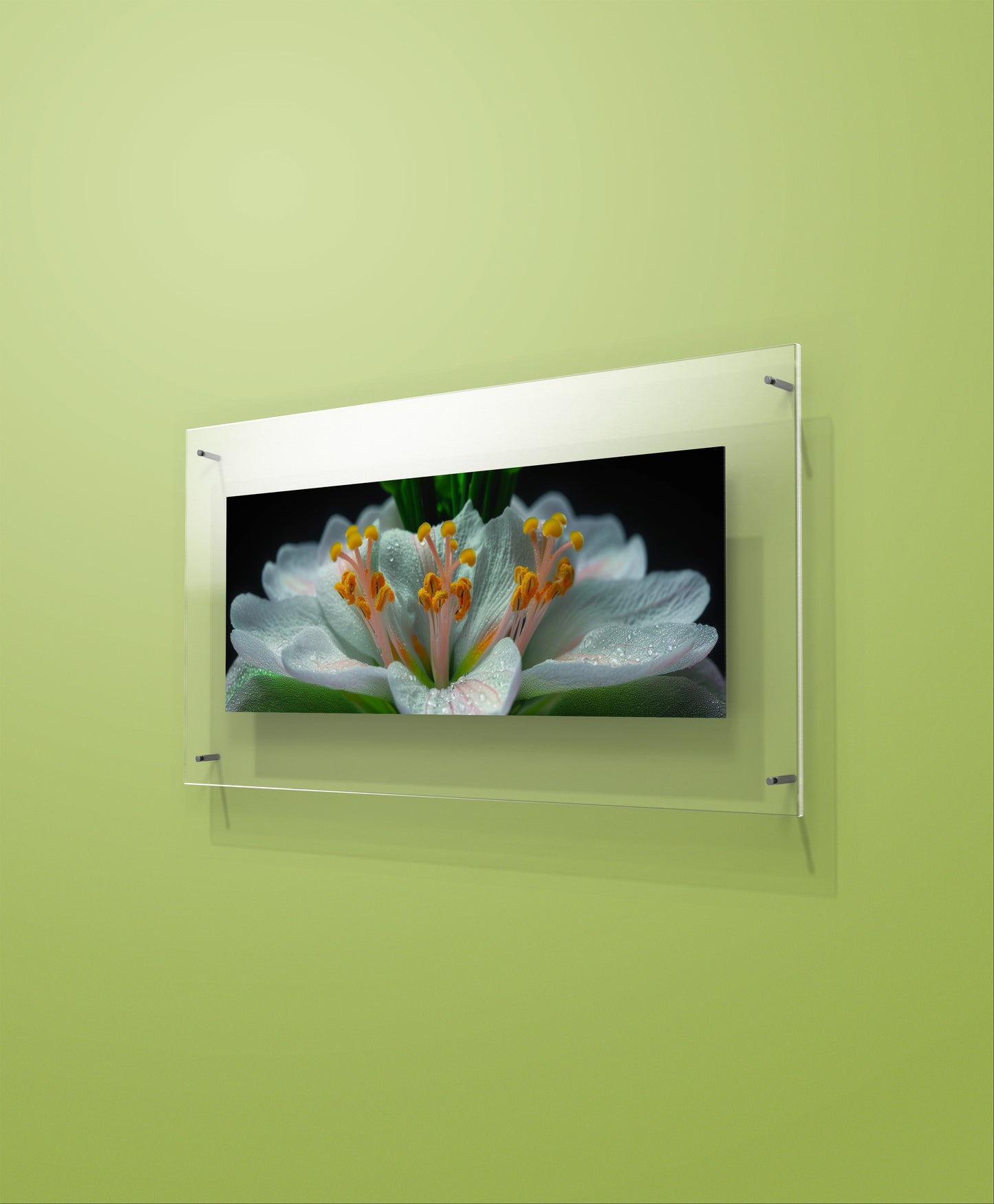 Flower Garden Wall Art