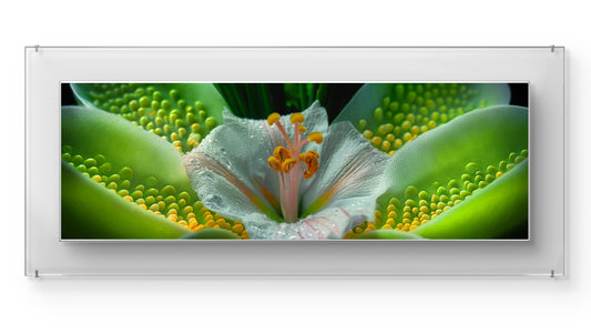Horizontal Flower Wall Art