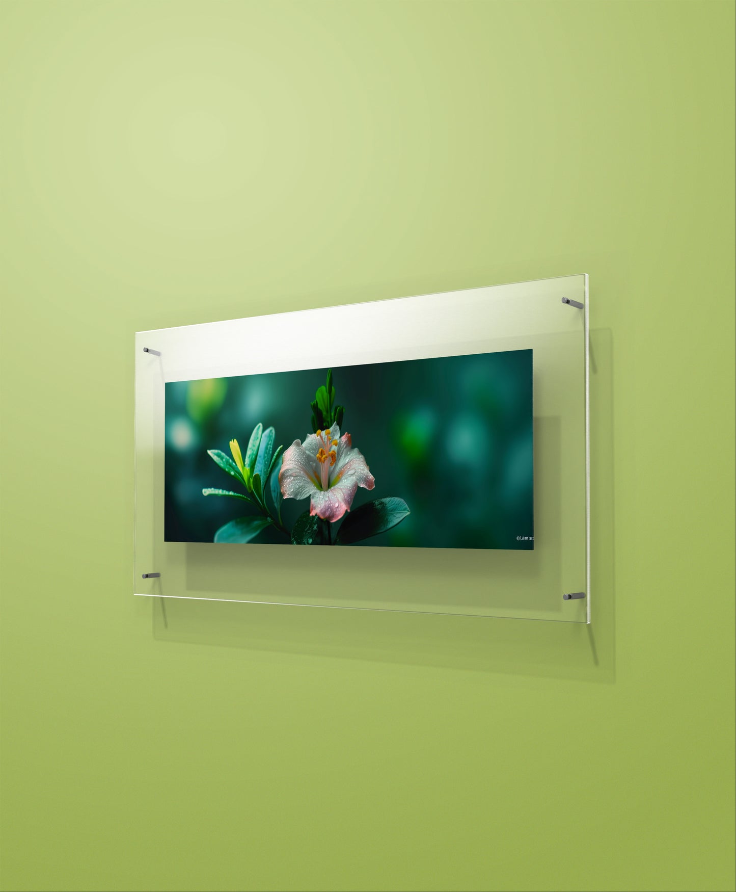 Large 210cm x 70cm Horizontal Flower Garden Wall Art