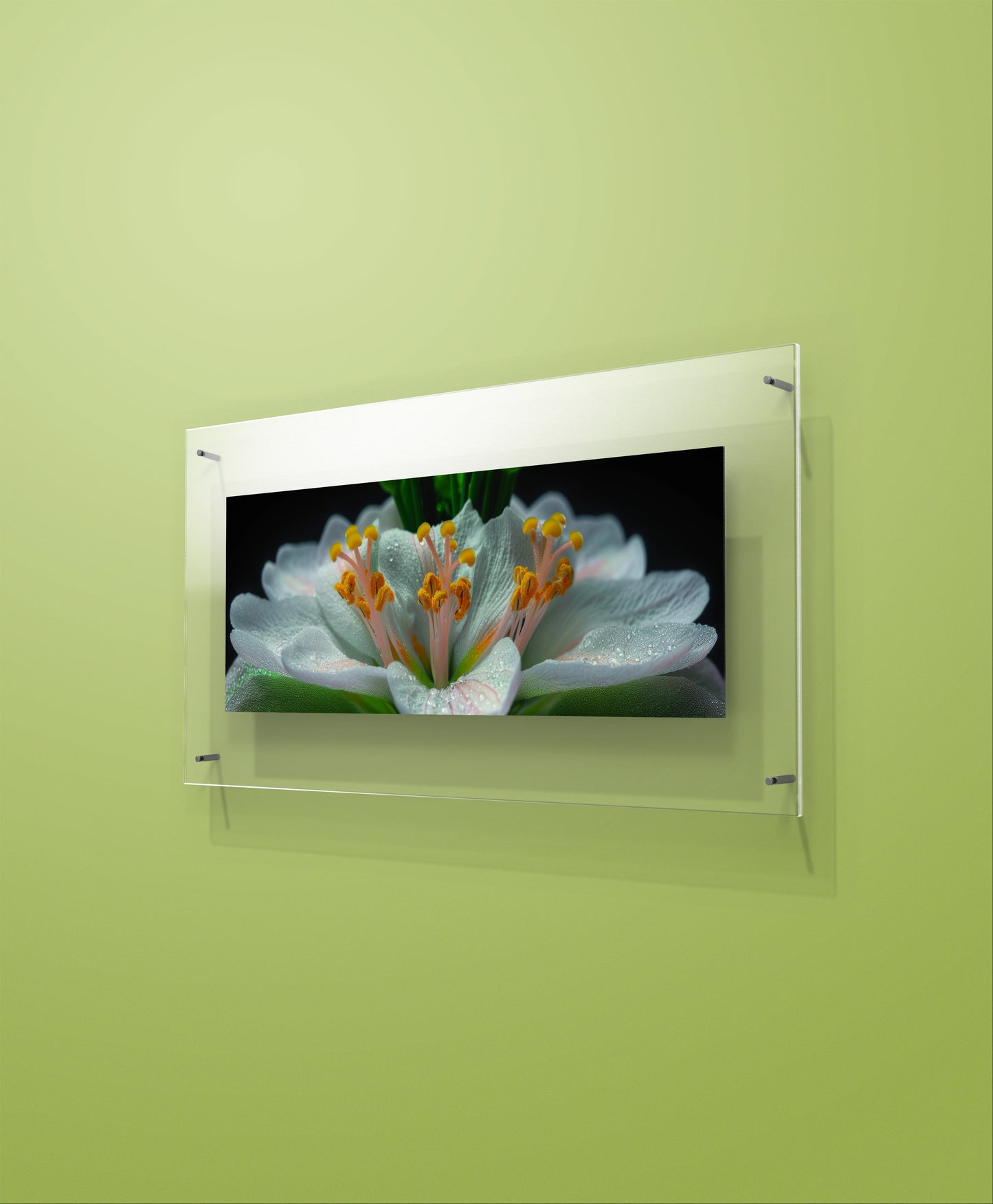 Large 210cm x 70cm Horizontal Flower Garden Wall Art